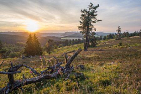 Wandeldorpen Sauerland - perfect om te wandelen