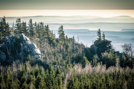 De schitterende natuur van de Harz