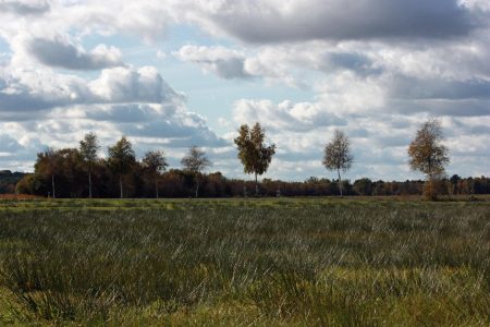 Het schitterende Huvenhoopsmoor