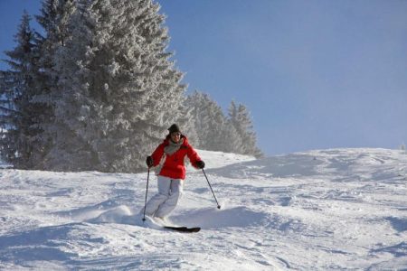 skien wintersport zwarte woud duitsland vakantie winter boeken