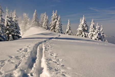 skien wintersport duitsland zwarte woud vakantie boeken winter
